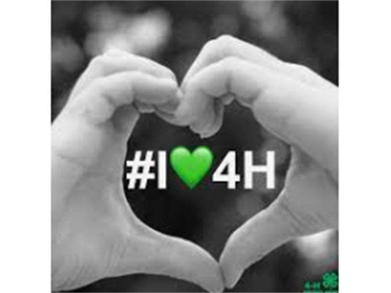 Logo for County Club Day 2026